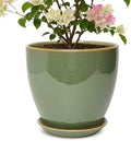 10 Inch Ceramic Planter with Drainage Hole Saucer(Crisp Green) by Unknown