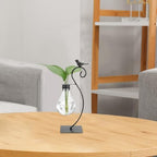 PATIKIL Bird Plant Propagation Station Plastic Vases Terrarium Vase Black - Image 5
