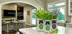 Hydroponic Herb Growing Kit Set, Self-Watering Mason Jar Herb Garden Starter Kit Indoor, Window Herbs Garden, Grow Your Own Plants from Organic Seeds (Basil, Parsley and Oregano) - Image 3