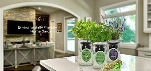 Hydroponic Herb Growing Kit Set, Self-Watering Mason Jar Herb Garden Starter Kit Indoor, Window Herbs Garden, Grow Your Own Plants from Organic Seeds (Basil, Parsley and Oregano) - Image 3