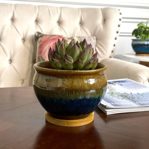 8 and 5.5 Inch Succulent Pot with Drainage and Saucer Glazed Terracotta Round Ceramic Succulent Planter Cactus Bonsai Plant Pot (Brown and Green) - Image 6