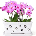Rectangle Ceramic Orchid Pot with Holes and Saucer 12Inch Ceramic Large Pot Basin for Refilling Indoor and Outdoor Use Air Circulation Orchid Planter for Repotting Planter White by EXQUAILTY