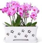 Rectangle Ceramic Orchid Pot with Holes and Saucer 12Inch Ceramic Large Pot Basin for Refilling Indoor and Outdoor Use Air Circulation Orchid Planter for Repotting Planter White by EXQUAILTY