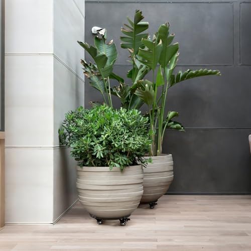 12" Plant Stand with Wheels,3mm Thick Rolling Plant Caddy Plant Tray - Image 2