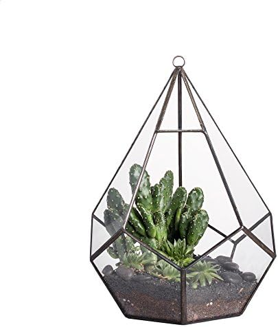 NCYP Hanging Glass Geometric Terrarium for Succulent - 6.8" x 6.8" x 8.6" Indoor Teardrop Shape Plants Planter, Tabletop Decorative Centerpiece, Black Container, Opening, Handmade (No Plants) by NCYP
