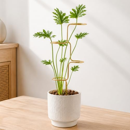 17" Plant Supports for Indoor Plants 3PCS Monstera & Pothos Climber Stakes - Image 4