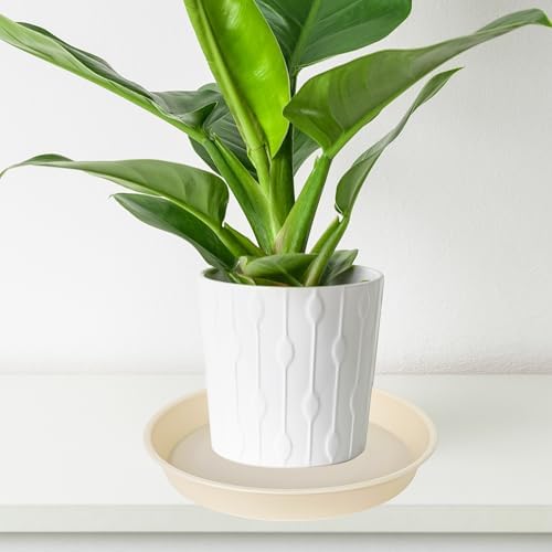 4 Pack of 14 inch Plant Saucers Bird Bath Bow Round, Plastic Plant Saucer Tray for Pots, White Planters for Indoor Plants, Plant Trays for Planter 12-15" (14", Beige) - Image 5