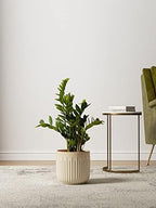 LE TAUCI Ceramic Pots for Plants, 8.3/7/6 Inch Indoor Planters with Drainage Holes & Mesh, Modern Glossy Glaze Cylinder Fluted Plant Pot for Snake Plant, Set of 3, Sand Beige - Image 5