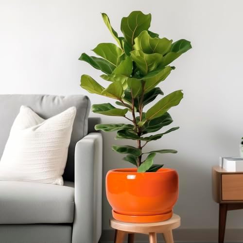 SQOWL Ceramic Planter - 10 Inch Plant Pot with Drainage Hole and Saucer, Round Modern Planter for Indoor Outdoor Plants, Decorative Large Flower Pot, House Decor, Gifts for Women Men, Orange - Image 2
