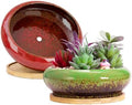 ARTKETTY Succulent Pots, 2 PCS Large Bonsai Pots with Drainage Tray by ARTKETTY