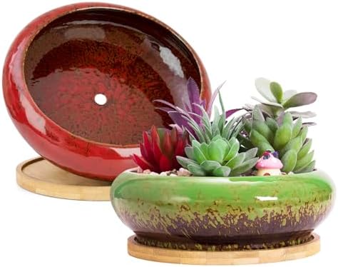 ARTKETTY Succulent Pots, 2 PCS Large Bonsai Pots with Drainage Tray by ARTKETTY