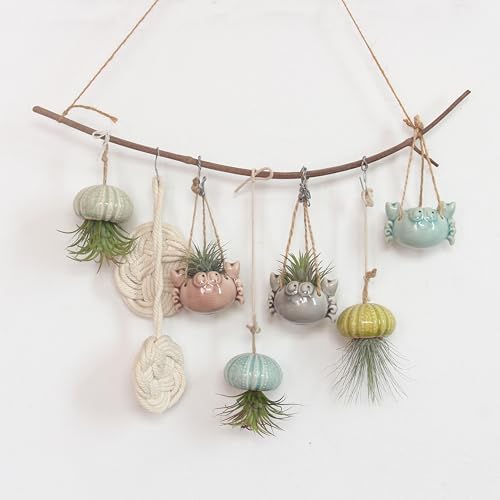 6 Ceramic Air Plant Holders & 2 Iron Racks, Hanging Tillandsia Pots - Image 4