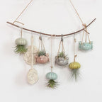 6 Ceramic Air Plant Holders & 2 Iron Racks, Hanging Tillandsia Pots - Image 4