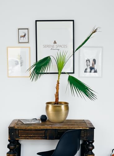 Serene Spaces Living Gold Brass Look Vintage Aluminum Vase - Perfect Decorative Accent for Plants, Weddings, and Events, Metallic Pot for Home, Medium, Measures 9" Diameter and 7" Tall - Image 3