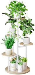INGIORDAR 5 Tier Plant Stand Indoor Corner Tiered Holder Shelf Display Rack by INGIORDAR