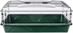EarlyGrow 93774 Domed Propagator, 1 Height Extender, Green - Image 2