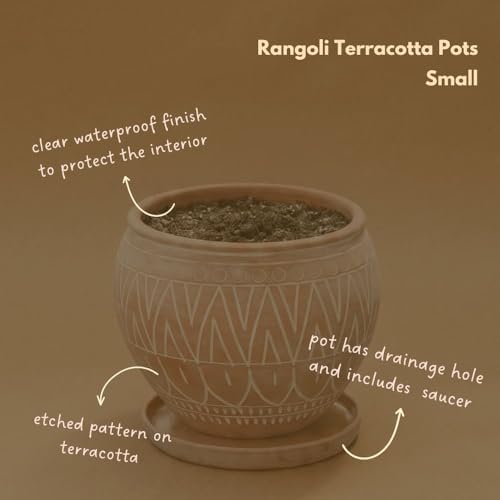 Small Terracotta Pot with Terracotta Saucer, Plant Pot with Drainage, Engraved Boho Rangoli Design, 8 Inch Plant Pot - Image 2