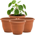 Bloem Ariana 6" Plastic Self-Watering Planter, Terra Cotta, 4-Pack by Bloem