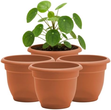Bloem Ariana 6" Plastic Self-Watering Planter, Terra Cotta, 4-Pack by Bloem