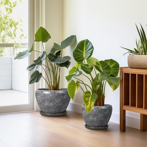 Ceramic Planters - 10 Inch 8 Inch 6 Inch Round Decorative Plant Pots with Drainage Holes and Saucers for Indoor Outdoor Flower, Room Home Apartment Decor, Gift for Women Men, Set of 3, Grey - Image 5