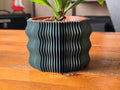 Spiny Wave Indoor Planter with Drain Holes | 3D Printed Modern Geometric Pot for Home & Office | 2" 3" 4" 6" Sizes | Gift for Plant Lovers (Gray Sparkle, 6") by Unknown