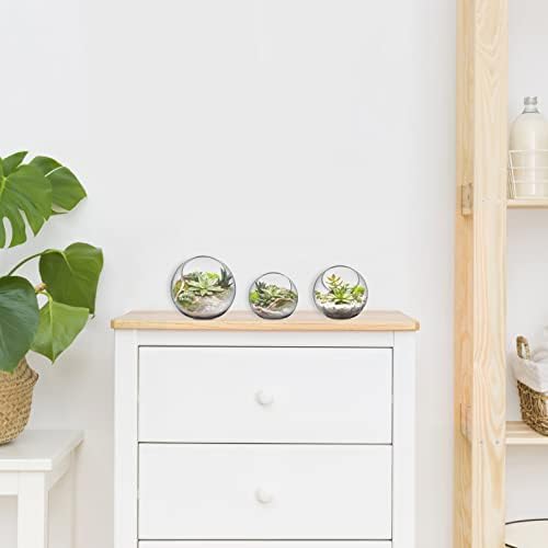INOOMP 3 Pcs Glass Terrariums for Plants,Plant Terrarium Display Glass Tabletop Succulent Air Plant Planter Globe Microlandschaft House - Image 5