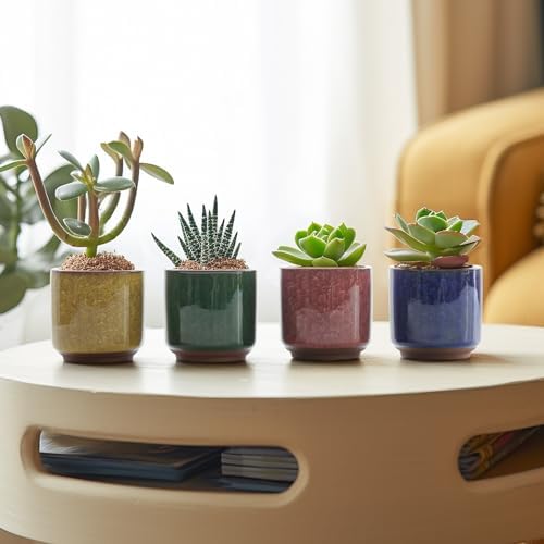 T4U Mini Succulent Pots, Small Ceramic Planters, Retro Gift Set of 12 - Image 4