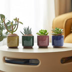 T4U Mini Succulent Pots, Small Ceramic Planters, Retro Gift Set of 12 - Image 4