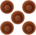 Veemoon Red Clay Succulent Flower Pots with Saucers, Indoor Decorative Breathable Planters for Succulent Plants, 8x8cm Terracotta Containers, 5pcs Set for Home Gardening by Veemoon