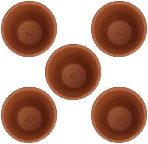 Veemoon Red Clay Succulent Flower Pots with Saucers, Indoor Decorative Breathable Planters for Succulent Plants, 8x8cm Terracotta Containers, 5pcs Set for Home Gardening by Veemoon