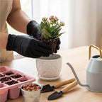 Maxdot 12 Set 4 Inch Ceramic Pots for Plants White Flower Pots with Drainage Holes Saucer Flower Planter for Indoor Outdoor Gardening Home Desktop Office Windowsill Decor - Image 3