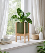D'vine Dev Plastic Pot with Natural Wood Stand, Olive, 8 in, 55-C-J-3 - Image 6