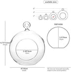 WGV Hanging Terrarium Globe, Width 4", Height 4.75", DIY Air Succulent Planter, Clear Glass Vase Orb with Flat Bottom, Candle Holder for Windowsill Outdoor Garden Decor, 12 Pieces Bulk - Image 2