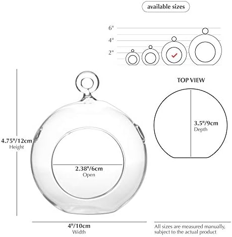 WGV Hanging Terrarium Globe, Width 4", Height 4.75", DIY Air Succulent Planter, Clear Glass Vase Orb with Flat Bottom, Candle Holder for Windowsill Outdoor Garden Decor, 12 Pieces Bulk - Image 2