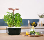 Veritable Exky Smart Indoor Garden, Black Copper - Image 3