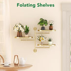 Window Plant Shelf, Wall Mounted Rotating Plant Holder Indoor - Image 7
