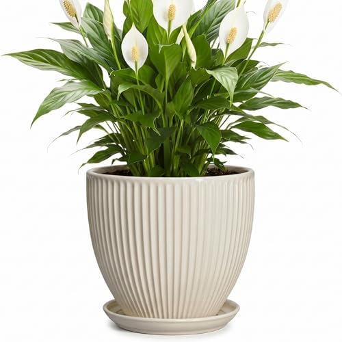 Ceramic Flower Pots, 8 Inch Plant Pot with Saucer, Cream White by Wliror