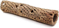 3, 6, 9, 12 Inch All Natural Teddy Bear Cholla Wood Extra Hollow Untreated Organic Aquarium Driftwood Decoration Chew Toy Shrimp Crab Cichlid Nano Tank Birds 1 or 5 Pieces (1 Piece, 12 inch) by BioactiveFX