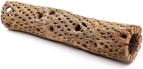 3, 6, 9, 12 Inch All Natural Teddy Bear Cholla Wood Extra Hollow Untreated Organic Aquarium Driftwood Decoration Chew Toy Shrimp Crab Cichlid Nano Tank Birds 1 or 5 Pieces (1 Piece, 12 inch) by BioactiveFX