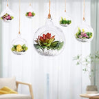 Glass Orb Hanging Terrarium Air Plant Globe Candle Holder Home Decor Set of 50(3.5" Tall by 3.1" Diameter with 2 Side Holes - Image 3