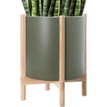 D'vine Dev Plastic Pot with Natural Wood Stand, Olive, 16 in, 55-C-Y-3 by DvineDevPlanterPotsandStand
