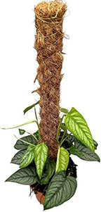 Premium Monstera Siltepecana Matuda Potting Mix - Retains Moisture and Promotes Healthy Root Growth by Gardenera - 5 Quart - Image 6