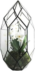 Ferrisland Handmade Glass Home Geometric Glass Succulent Flowerpot by Ferrisland