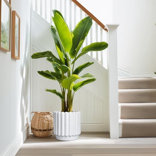 Ceramicfor Ceramic Plant Pot, 9.6 Inch, White - Image 5