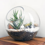 INOOMP 3 Pcs Glass Terrariums for Plants,Plant Terrarium Display Glass Tabletop Succulent Air Plant Planter Globe Microlandschaft House - Image 4