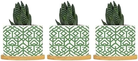 Grey Sage Green Century Ceramic Planter Snake Plant Live Indoor with Pot with Drainage Holes and Saucers Pot for Home Office Desk Garden by BRUYU5SE