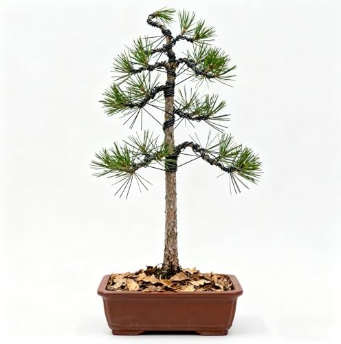 Aluminum Bonsai Wire for Bonsai Trees, 1 Roll 16.4ft/5m Training Wire, Flexible & Rust-Proof for Shaping, Branch and Trunk Bending, Beginner Bonsai Tool Kit Supplies(Size:6mm 16.4ft/5m) - Image 2