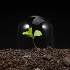 HANABASS 9pcs Plant Dome Protectors Insulation Cover for Garden Moisture Dome Plant Shelter Frost Cloche for and Outdoor - Image 3