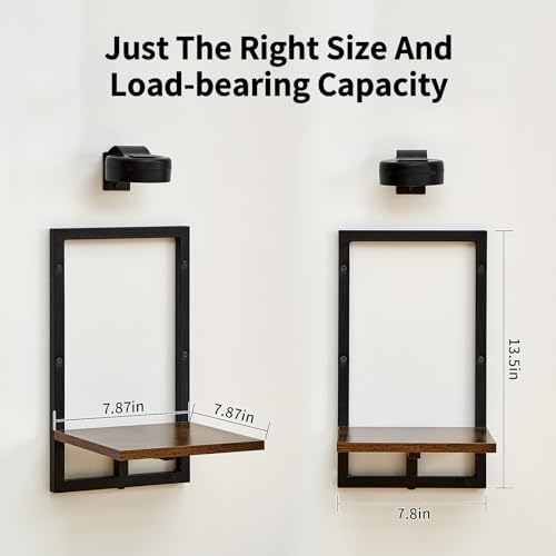 Wall Plant Holder with Grow Lights, Picture Frame Plant Shelves (3, Brown) - Image 3