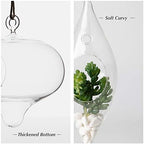 WGV Glass Hanging Plant Terrarium Bulk, Width 3", Height 9", Droplet DIY Succulent Air Planter Clear Tea Light Votive Candle Holder for Event Home Garden Outdoor Decor, 6 Pieces - Image 3